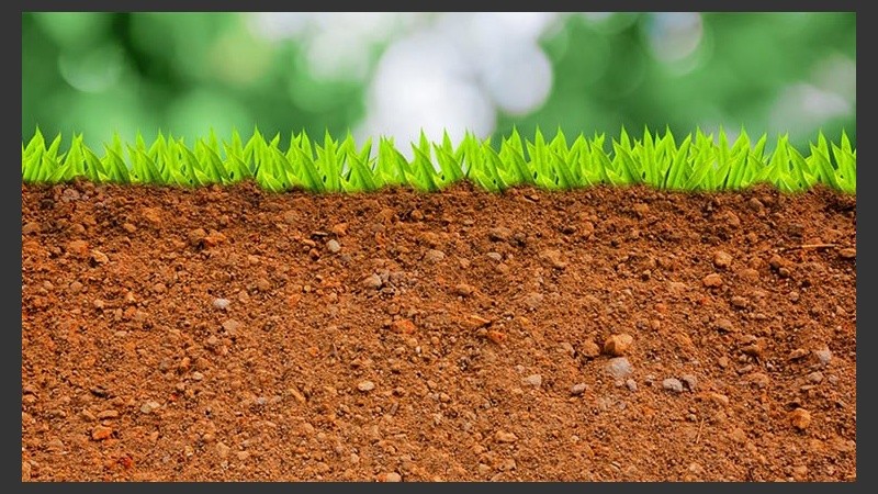 La composición geoquímica del suelo es clave en las muertes por cáncer.