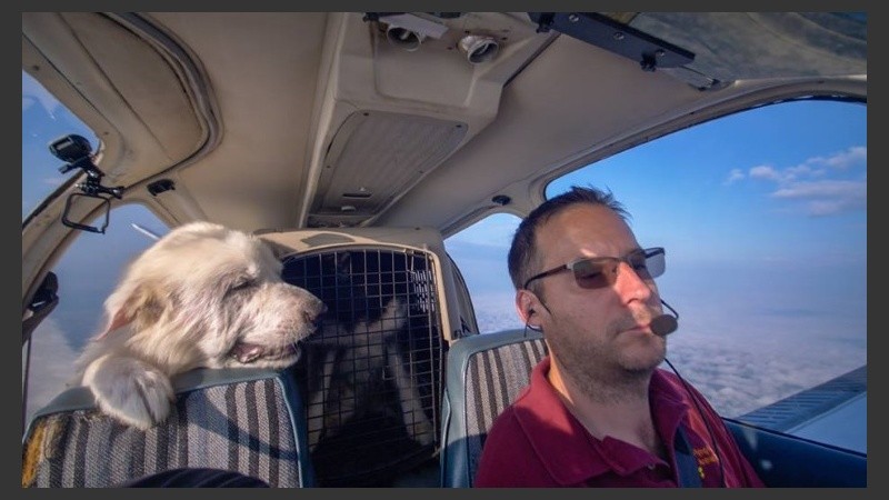 El piloto que salva perros en plena tarea.