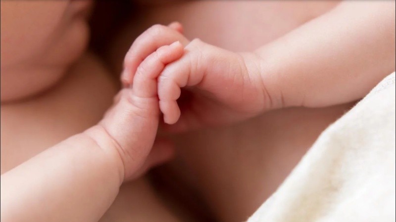 Los hermanitos nacieron por cesárea el 20 de septiembre de 2018.