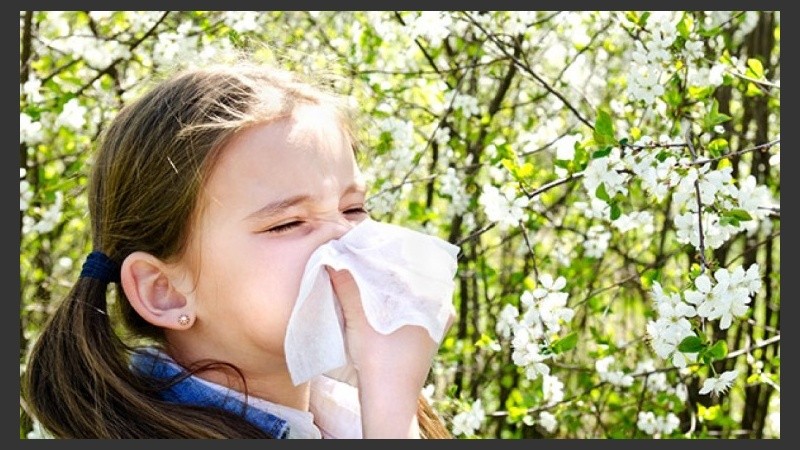 Han aumentado los factores ambientales que generan alergias.
