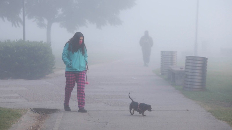 Niebla y humo, humo y niebla. 