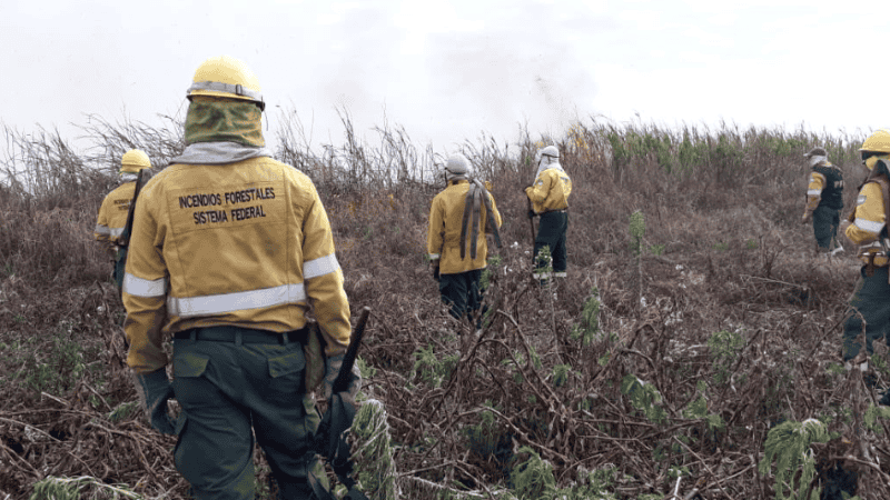 La lluvia, aviones hidrantes y 75 brigadistas apagaron el fuego en las islas frente a Rosario.