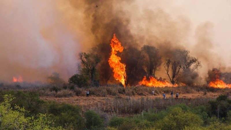 Fuego muy cerca del puente Rosario-Victoria.