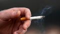 Diputados aprobó el artículo que modifica los impuestos por la venta de cigarrillos y perjudica al "Señor del tabaco"