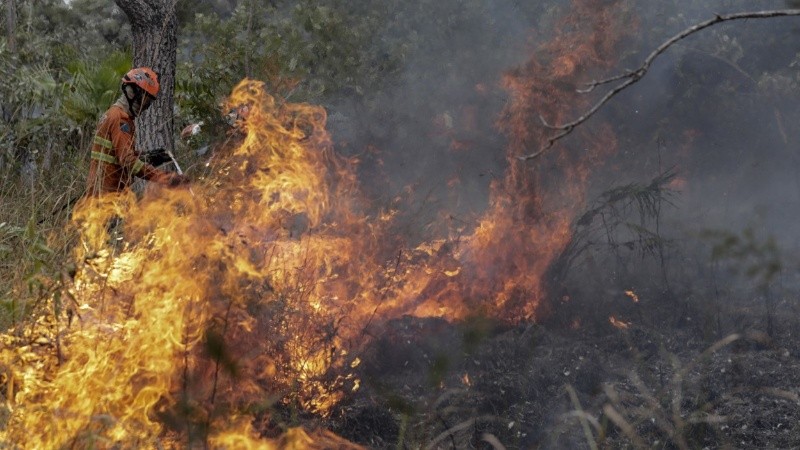 Bomberos brasileños luchan contra el fuego en Pantanal.
