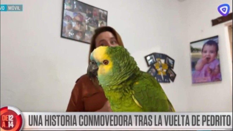 La familia recuperó el loro que había sido robado y vendido