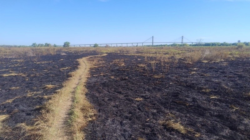 Así quedaron varios sectores de la isla arrasados por el fuego desde el jueves.