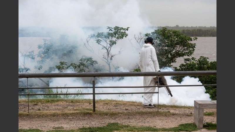 Las fumigaciones que se realizan de forma sostenida evitaron que la temporada estival tenga cantidades preocupantes de mosquitos.