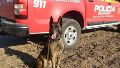 Emotivo último adiós a Baloo, el perro rescatista que dejó su huella en los bomberos Zapadores de Rosario