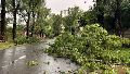 Una cola de tornado afectó Roldán: daños en techos y arbolado