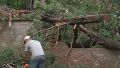 Ibarlucea: árboles caídos, destrozos y falta de luz tras la tormenta