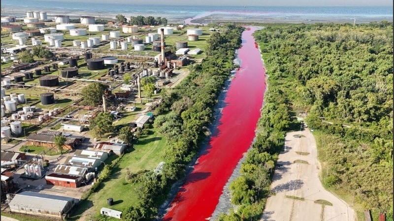 Según se informó, se sospecha que la sustancia responsable podría ser un colorante orgánico, como anilina, ampliamente utilizado en la industria textil.