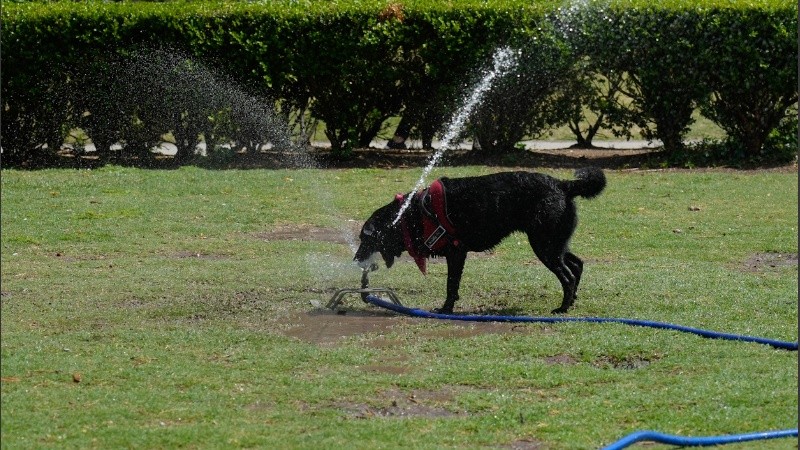 Habrá que refrescarse en algún momento del día.